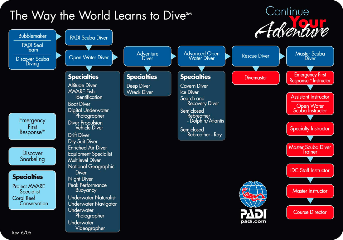 scuba diving certification courses